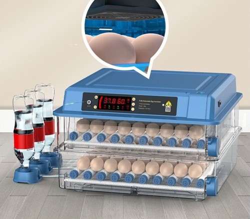 Nuova incubatrice digitale - nuova,