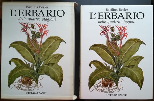 Erbario delle quattro - l'erbario,