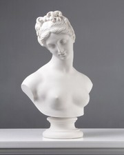 Statua Busto di Venere -