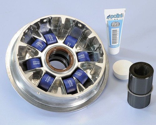 241 663 variatore polini - variatore,