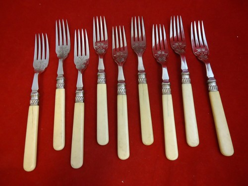 Forchette pesce in - 9,