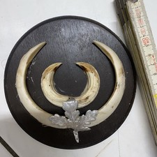 1Grande Capitale Armi a Cuneo