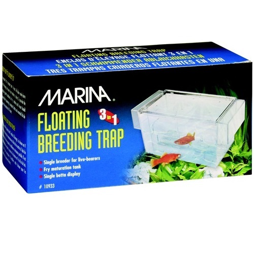 Marina galleggiante 1 - marina,