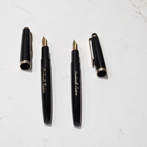 Coppia penne stilografiche - di,