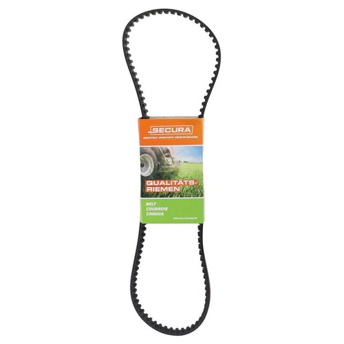 Cinghia distribuzione - cinghia,
