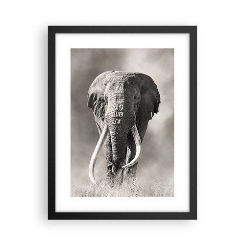 Poster 30x40cm sole - poster,