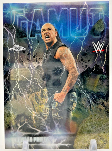 Custodia gamut 2026 topps - gamut,