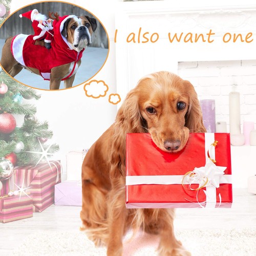 Costume babbo natale - costume,