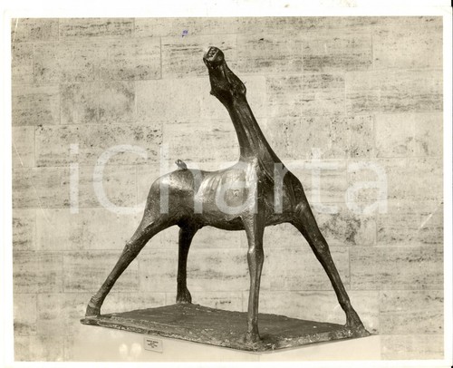 1970 arte marino marini - arte,