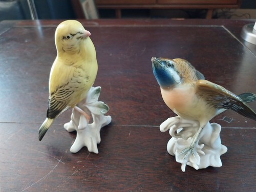Karl ens oiseaux en - ens, 2