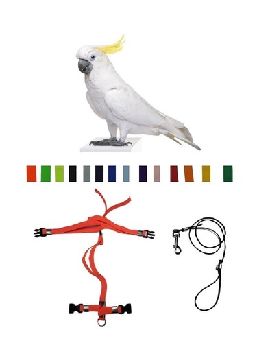 Pettorina cacatua elastico - pettorina,