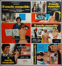 4fb cm.50x70+1-IL MERLO