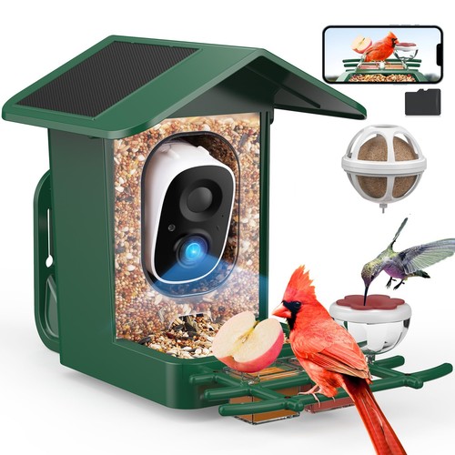 Bird feeder camera solar - bird,