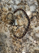 Collare cane Gucci Web 12 in