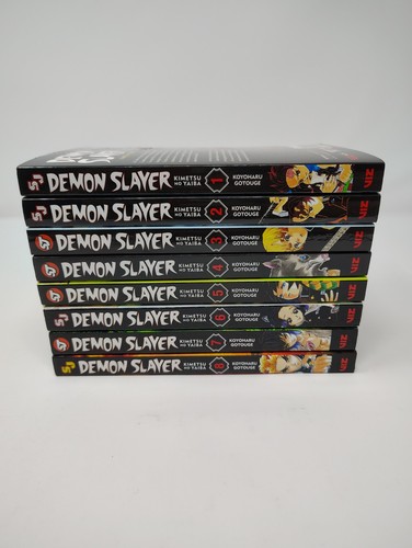 Demon slayer kimetsu - demon, no