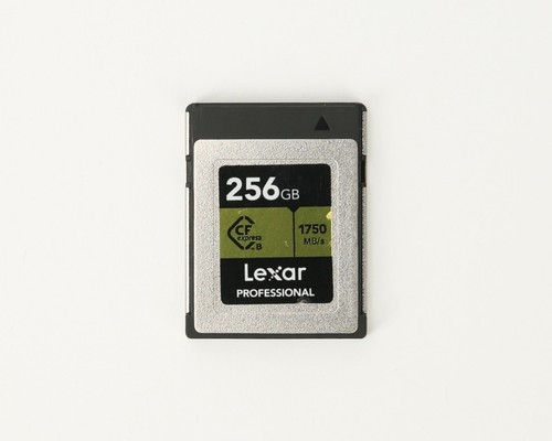 Scheda lexar professional - scheda,