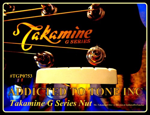 Chitarra acustica takamine - chitarra,