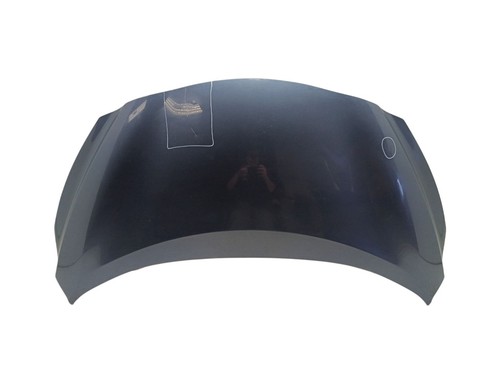 651005fa0j cofano 2298878 - cofano,