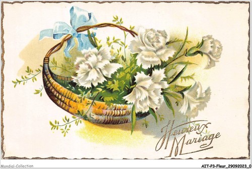 Aitp3 fleur 0209 felice - -,