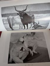 Catalogo Mostra Pittore AMEDEO