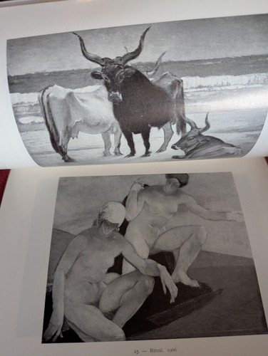 Catalogo mostra pittore - catalogo,
