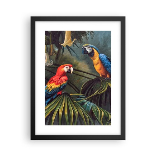 Poster 30x40cm ara pappagalli - 30x40cm,