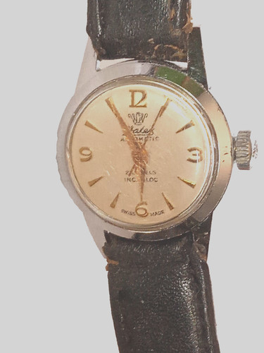 Watex lady automatico ssiss - lady,