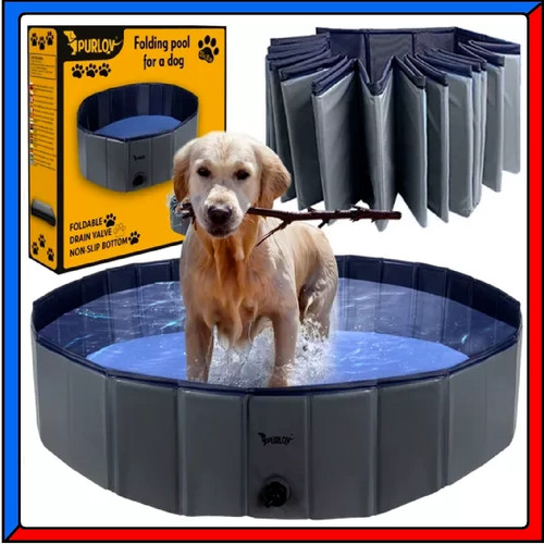 Piscina vasca per cani - piscina, cane