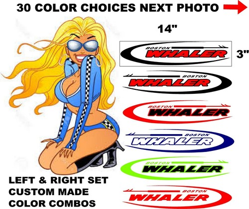 Boston whaler boat - whaler,