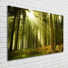 Quadro in vetro quadri da