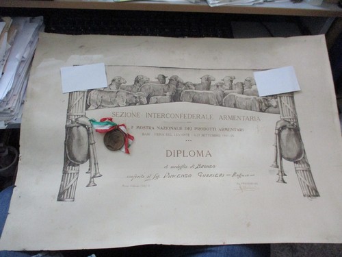 Medaglia diploma mostra - diploma,
