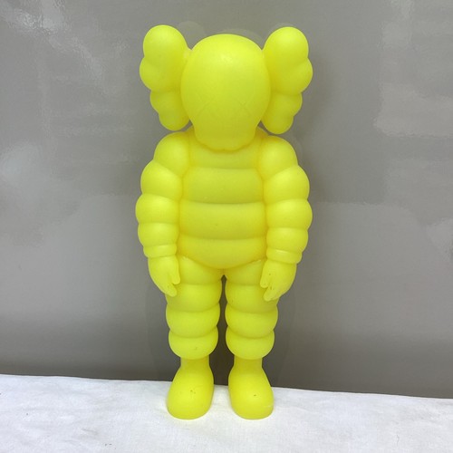 Kaws what party - kaws,