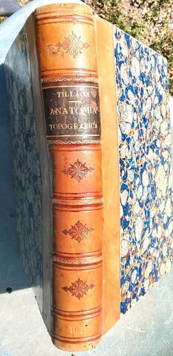 1881 anatomia topografica - anatomia,