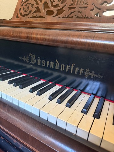 1880s bösendorfer grand piano - grand,