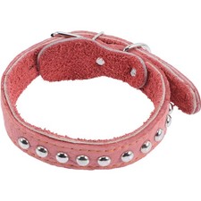  Collari Per Cani Collarino