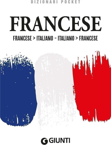 Libri dizionario francese - libri,