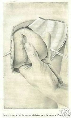 MEDICINA_CHIRURGIA