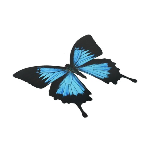 Farfalle decorative