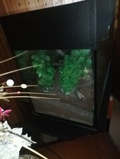 Acquario per acqua dolce usato con mobile dedicato