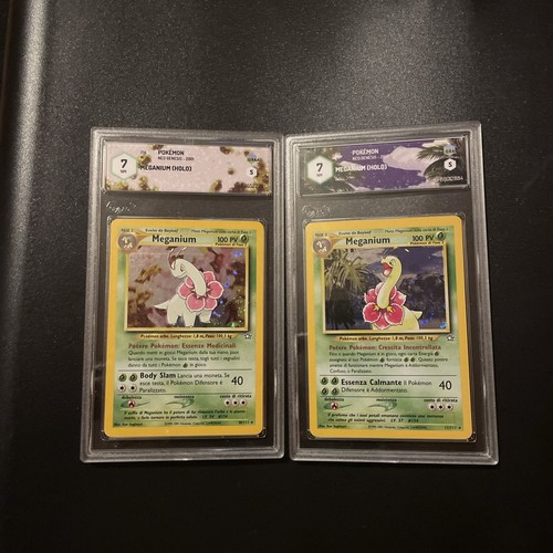 Meganium 111 - meganium,