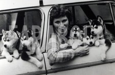 Foto vintage Animali, cinque