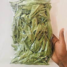 Foglie di guava essiccate