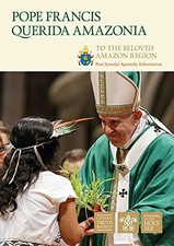 Querida Amazonia: To the