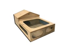 Casetta teca terrario tartarugario casa per taratarughe tartaruga di terra