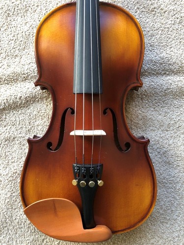 Violino nuovo prezzo più - violino,