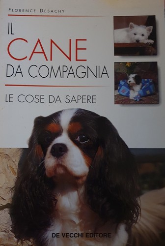 Cane compagnia - cane,