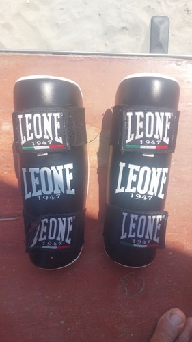 Parastinchi paratibie leone - parastinchi,