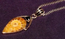 Pendente Ammonite Con Onice
