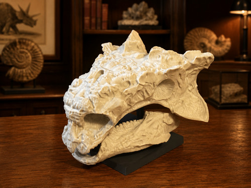 Ankylosaurus skull white pla - white,