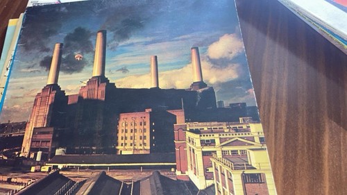 Pink floyd animals - animals, vinile